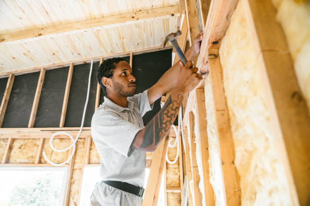 Best Blown-in Insulation  in La Mesilla, NM