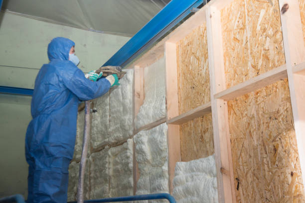 Best Insulation Contractor Near Me  in La Mesilla, NM
